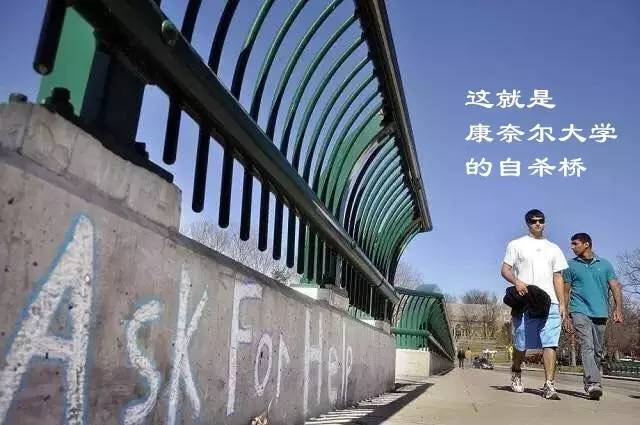 &#20048;&#25237;&#32593;&#39029;&#29256;&#45;&#20048;&#25237;&#65288;&#20013;&#22269;&#65289;