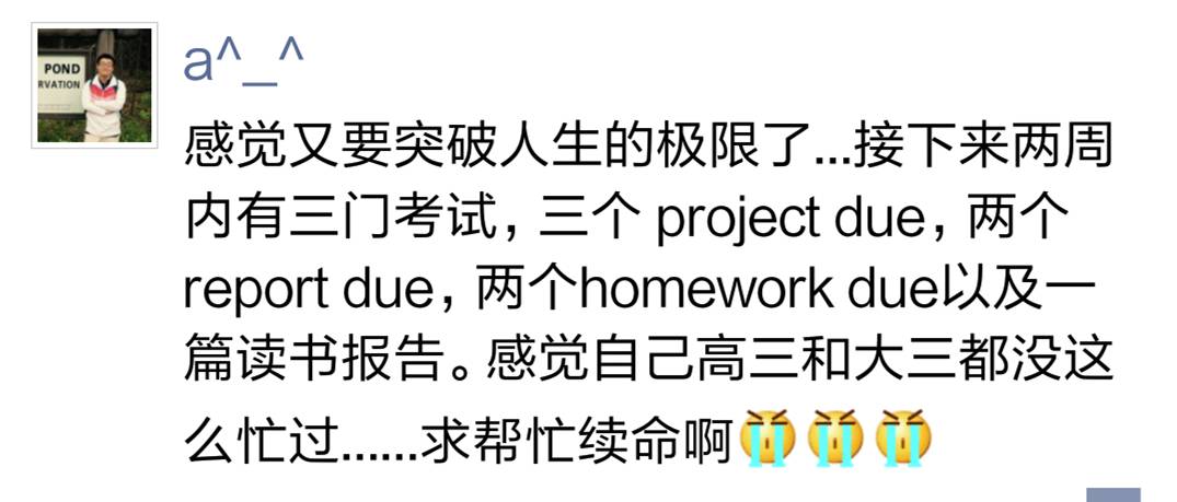 &#20048;&#25237;&#32593;&#39029;&#29256;&#45;&#20048;&#25237;&#65288;&#20013;&#22269;&#65289;